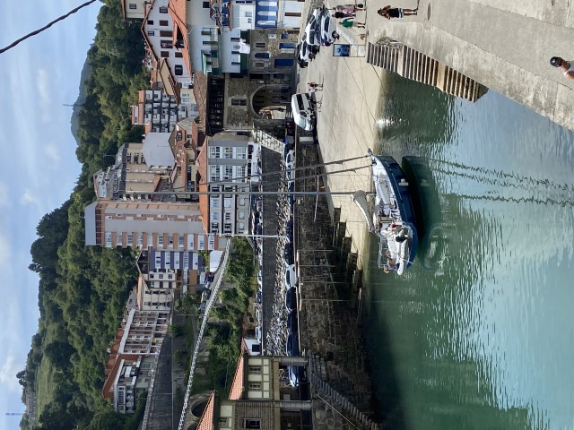 IMG_1937.jpeg